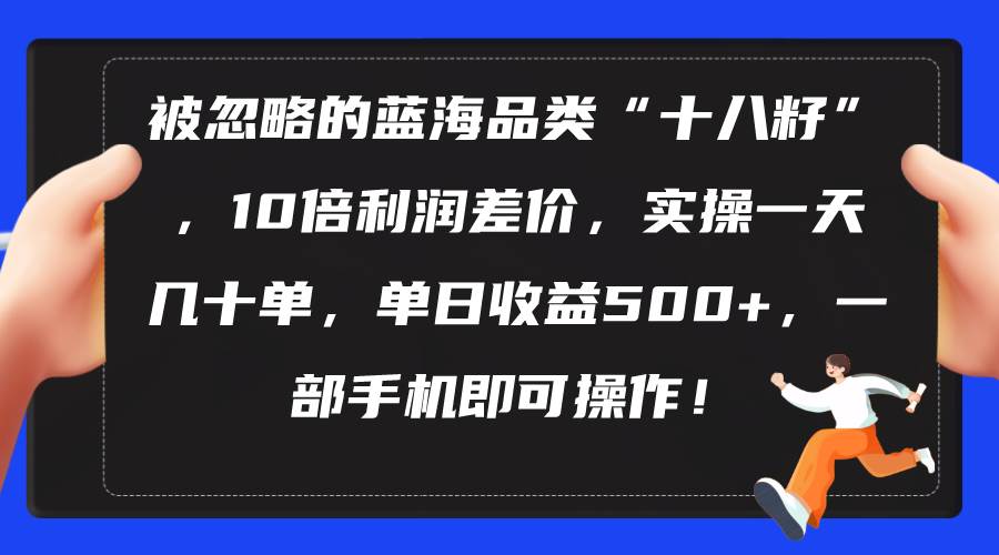 被忽略的蓝海品类“十八籽”，10倍利润差价，实操一天几十单 单日收益500+泓锦前程-网创项目资源站-副业项目-创业项目-搞钱项目泓锦前程