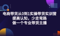 电商带货从0到1实操带货实训营:提高认知,少走弯路,做一个专业带货主播泓锦前程-网创项目资源站-副业项目-创业项目-搞钱项目泓锦前程