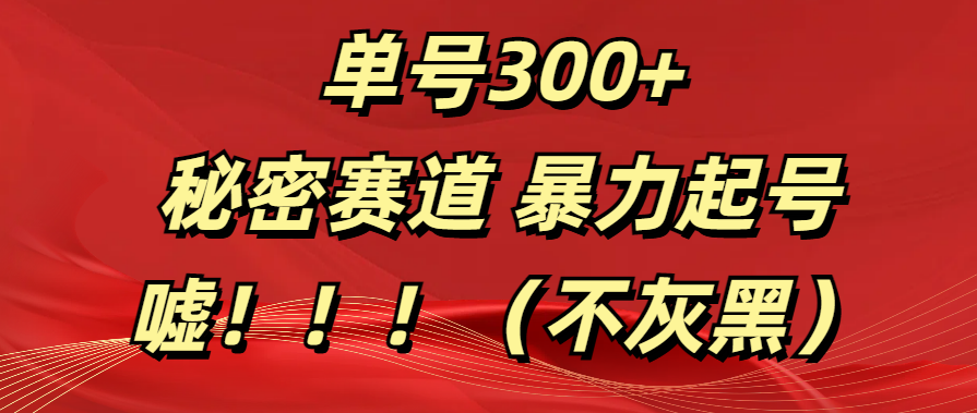 单号300+  秘密赛道 暴力起号  （不灰黑）泓锦前程-网创项目资源站-副业项目-创业项目-搞钱项目泓锦前程