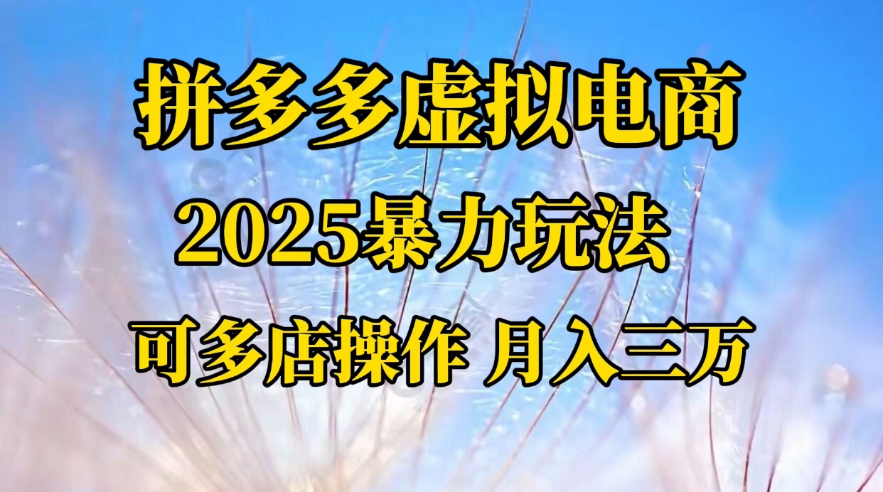 拼多多虚拟电商，不囤货不垫资的虚拟电商泓锦前程-网创项目资源站-副业项目-创业项目-搞钱项目泓锦前程