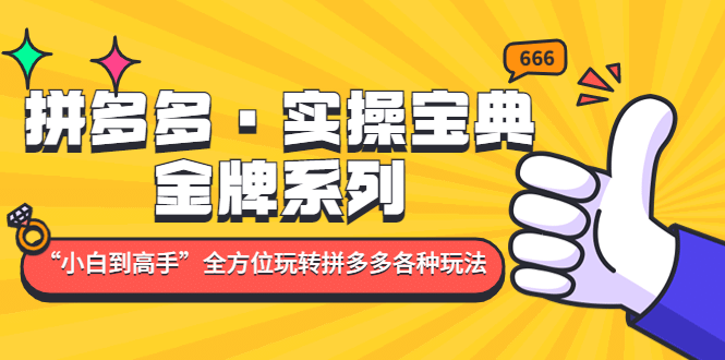 拼多多·实操宝典：金牌系列“小白到高手”带你全方位玩转拼多多各种玩法泓锦前程-网创项目资源站-副业项目-创业项目-搞钱项目泓锦前程