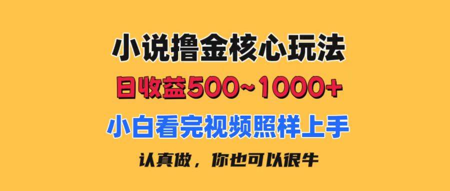 小说撸金核心玩法，日收益500-1000+，小白看完照样上手，0成本有手就行泓锦前程-网创项目资源站-副业项目-创业项目-搞钱项目泓锦前程