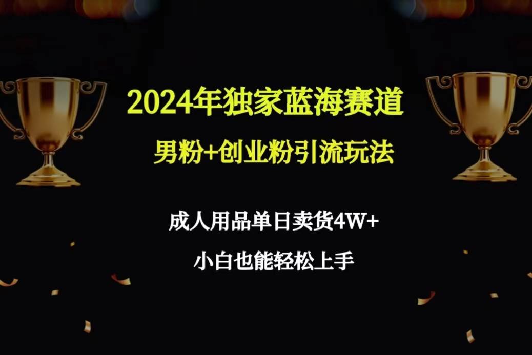 2024年独家蓝海赛道男粉+创业粉引流玩法，成人用品单日卖货4W+保姆教程泓锦前程-网创项目资源站-副业项目-创业项目-搞钱项目泓锦前程