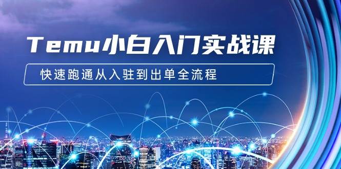 Temu小白入门实战课：跨境拼多多电商培训 快速跑通从入驻到出单全流程-12节泓锦前程-网创项目资源站-副业项目-创业项目-搞钱项目泓锦前程