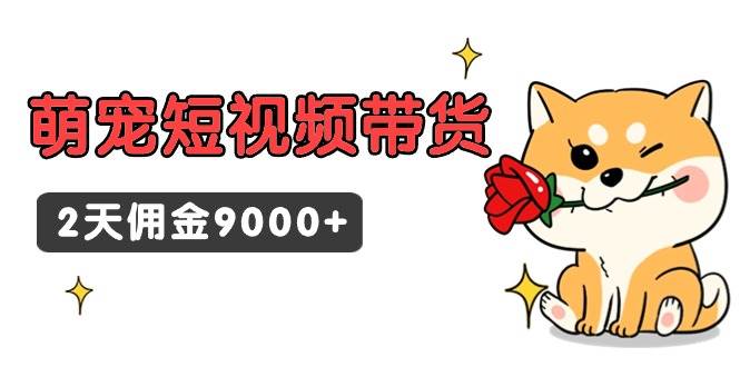 东哲日记·萌宠短视频带货，2天佣金9000+泓锦前程-网创项目资源站-副业项目-创业项目-搞钱项目泓锦前程