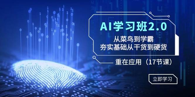 AI学习班2.0：从菜鸟到学霸，夯实基础从干货到硬货，重在应用（17节课）泓锦前程-网创项目资源站-副业项目-创业项目-搞钱项目泓锦前程