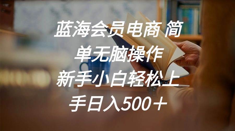 蓝海会员电商 简单无脑操作 新手小白轻松上手日入500＋泓锦前程-网创项目资源站-副业项目-创业项目-搞钱项目泓锦前程