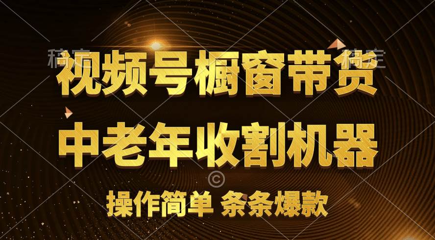 [你的孩子成功取得高位]视频号最火爆赛道，橱窗带货，流量分成计划，条…泓锦前程-网创项目资源站-副业项目-创业项目-搞钱项目泓锦前程