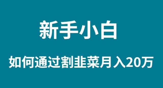 新手小白如何通过割韭菜月入 20W泓锦前程-网创项目资源站-副业项目-创业项目-搞钱项目泓锦前程