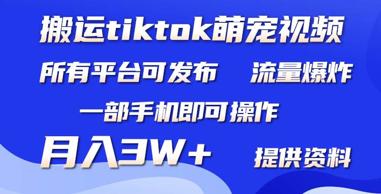搬运Tiktok萌宠类视频，一部手机即可。所有短视频平台均可操作，月入3W+泓锦前程-网创项目资源站-副业项目-创业项目-搞钱项目泓锦前程