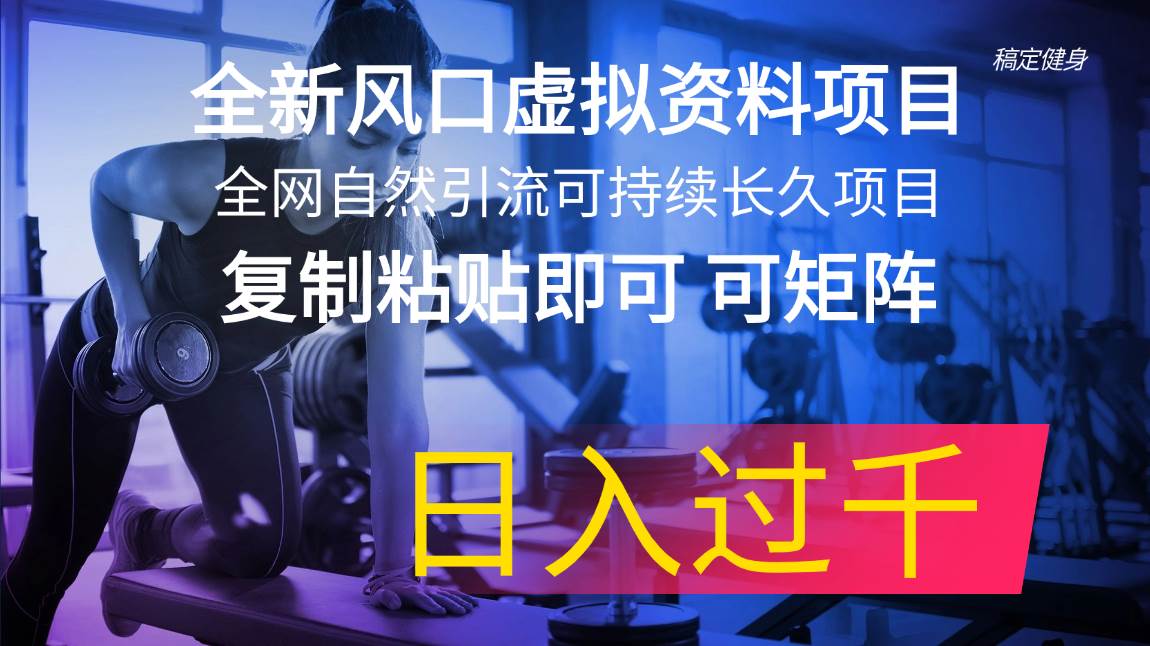 全新风口虚拟资料项目 全网自然引流可持续长久项目 复制粘贴即可可矩阵…泓锦前程-网创项目资源站-副业项目-创业项目-搞钱项目泓锦前程