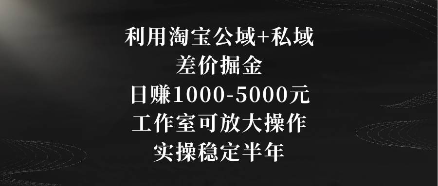利用淘宝公域+私域差价掘金，日赚1000-5000元，工作室可放大操作，实操…泓锦前程-网创项目资源站-副业项目-创业项目-搞钱项目泓锦前程
