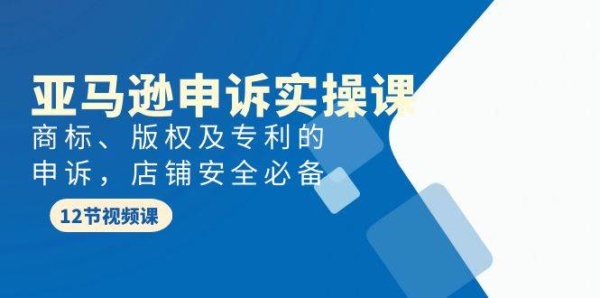 亚马逊-申诉实战课，商标、版权及专利的申诉，店铺安全必备泓锦前程-网创项目资源站-副业项目-创业项目-搞钱项目泓锦前程