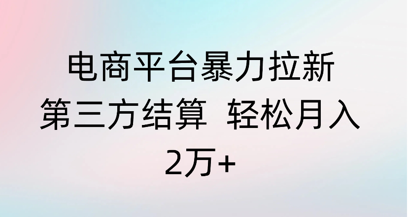 电商平台暴力拉新第三方结算 轻松月入2万+泓锦前程-网创项目资源站-副业项目-创业项目-搞钱项目泓锦前程